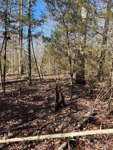 Treaty Point Drive unit: 10, Greenville, SC 29644