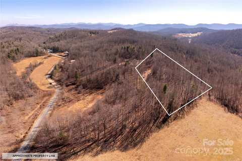 000 Pinnacle Mountain Road, Zirconia, NC 28790