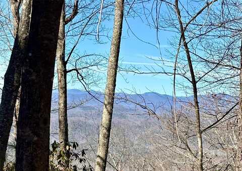 Lot #13 Devils Hole Road, Rosman, NC 28772