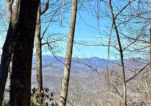Devils Hole Road unit: 13, Rosman, NC 28772