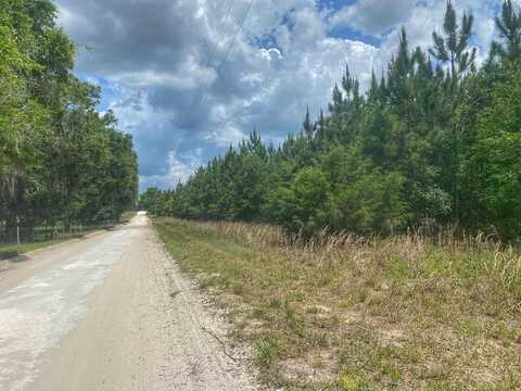 0 42nd Ct, Bell, FL 32619