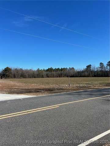 Kennel Road, Wade, NC 28395