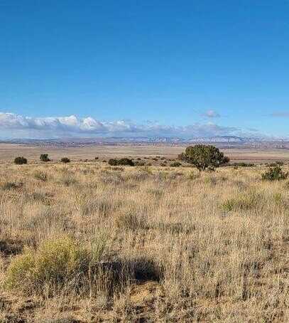 Tren Lot 2 Road, Los Lunas, NM 87031