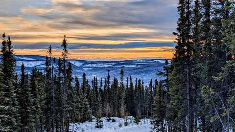 L8-B2 OLNES LOOP ROAD, Fairbanks, AK 99712