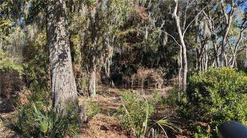 117 Jones Creek Drive, Saint Simons Island, GA 31522
