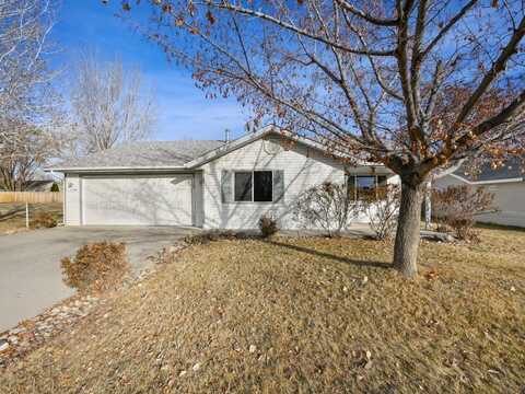 1156 Locust Street, Fruita, CO 81521