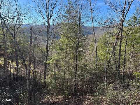 1306 Morning Dove Way, Sevierville, TN 37862