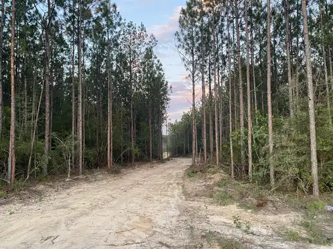 30.02 Acre Old Hwy 49, Hattiesburg, MS 39401