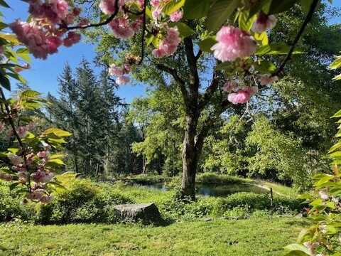 30000 State Hwy 299, Blue Lake, CA 95525