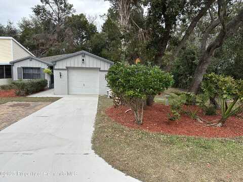 12 Chinaberry Circle, Homosassa, FL 34446