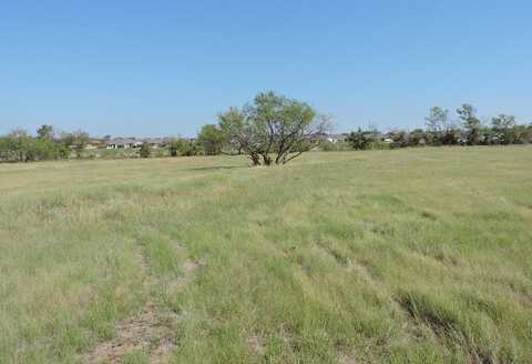 015 Barnes Rd., Mabank, TX 75147