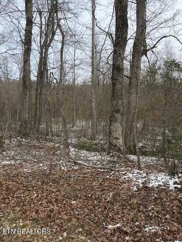 101 001.01 Sheep Ranch Rd, Robbins, TN 37852