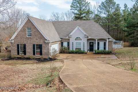 14817 Susannah Cove, Byhalia, MS 38611