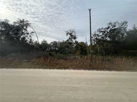 SE 179TH AVE, SILVER SPRINGS, FL 34488