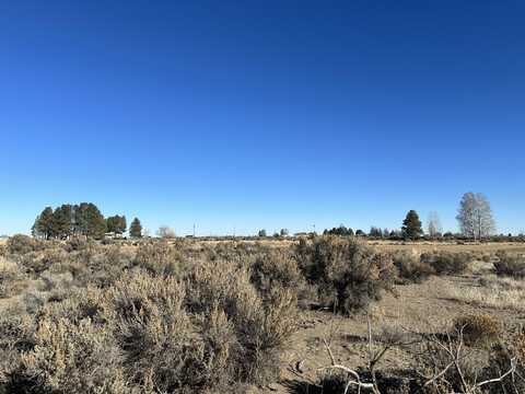 Maple Circle Road, Christmas Valley, OR 97641