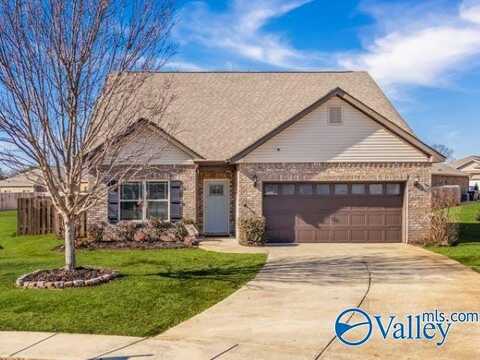 119 Diamond Head Circle, Meridianville, AL 35759