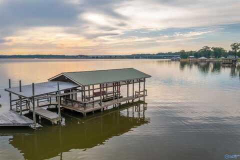 3705 Quail Run Drive, Cedar Bluff, AL 35959
