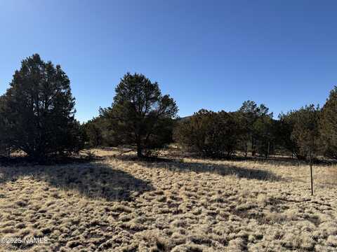 7399 N 8 Mile Boulevard, Williams, AZ 86046