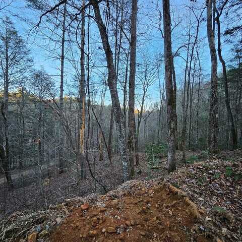 3409 Flagpole Road, Ellijay, GA 30540