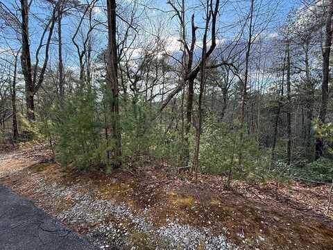 Lot 103 Lancelot Loop, Clayton, GA 30525