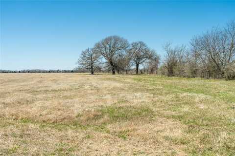 11016 County Road 2138, Kemp, TX 75143