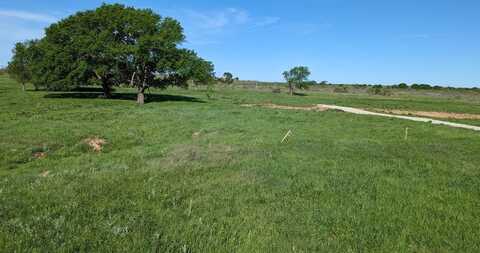 Tbd High Plains Trail, Bellevue, TX 76228