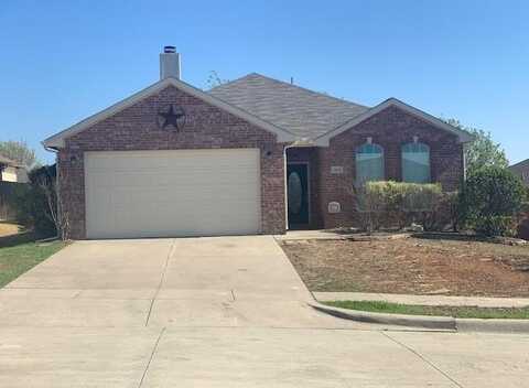 10313 Hogan Drive, Benbrook, TX 76126