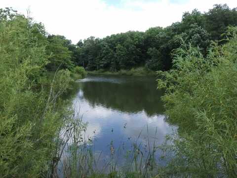 000 Flick Rd, Queen City, MO 63561