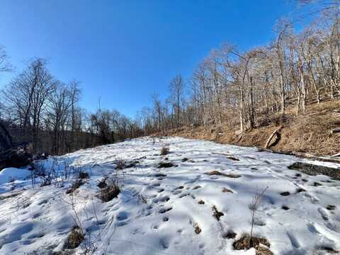 0 Dunham Ridge Rd, Ravenswood, WV 26164