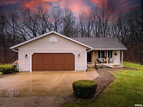 26073 N Orion School Road, Canton, IL 61520