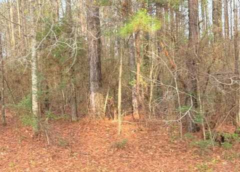 0 Hideaway Lane Lot 295, Carriere, MS 39426