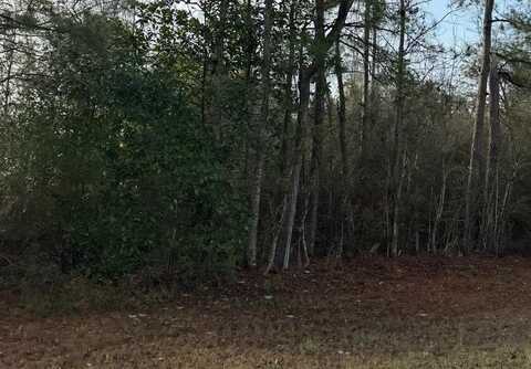 0 Hideaway Lane Lot 296, Carriere, MS 39426