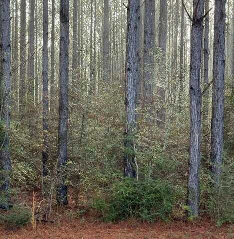 0 W Lakeshore Dr Lot 350, Carriere, MS 39426