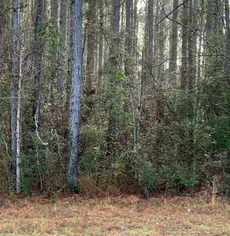 0 Hideaway Lane Lot 412, Carriere, MS 39426