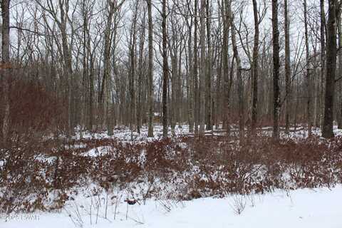 Lot 133 Ironwood & Ruff Road, Canadensis, PA 18325