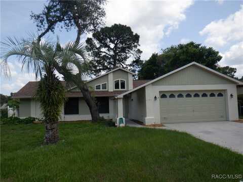 5195 W Kristina Loop, Lecanto, FL 34461