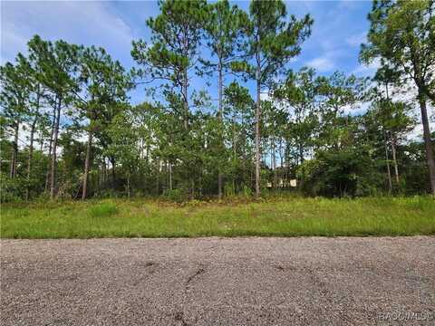 7441 N June Terrace, Citrus Springs, FL 34434