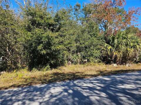 7147 W Jackson Lane, Homosassa, FL 34448