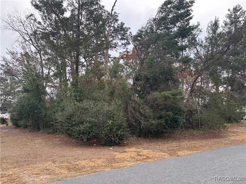 0 Keysville Avenue, Spring Hill, FL 34608