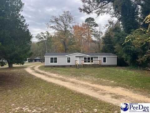 663 Woodstream Road, Effingham, SC 29541