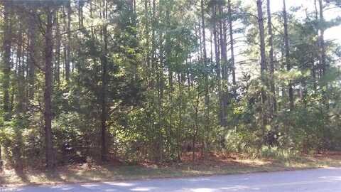 1.25AC Tylers Beach Road, Smithfield, VA 23430