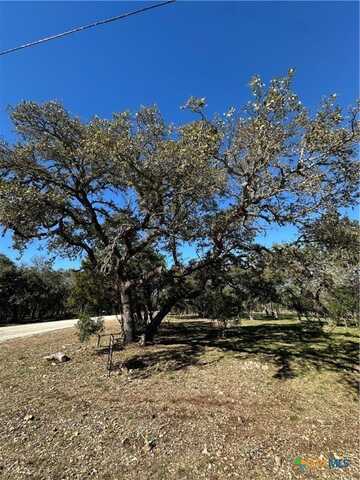 821 Wild Turkey Run, New Braunfels, TX 78132