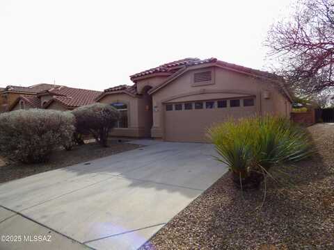 39130 Rodeo Buckle Drive, Tucson, AZ 85739