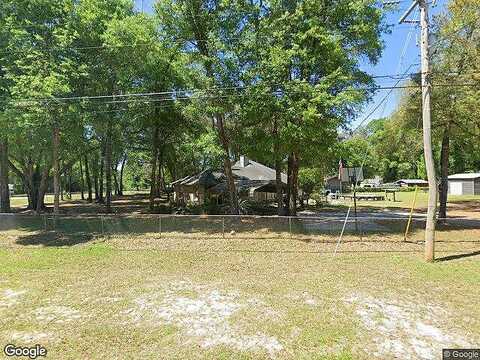 Hedgehog, MIDDLEBURG, FL 32068