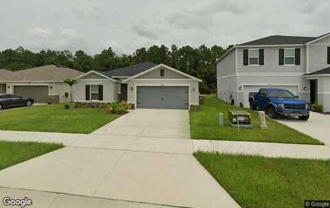 Centipede, CLERMONT, FL 34714