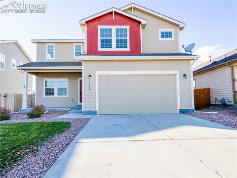 Alpine Daisy, COLORADO SPRINGS, CO 80925