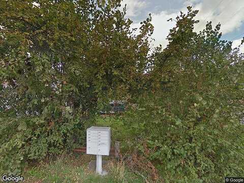 Hazel, MOUNT VERNON, WA 98273