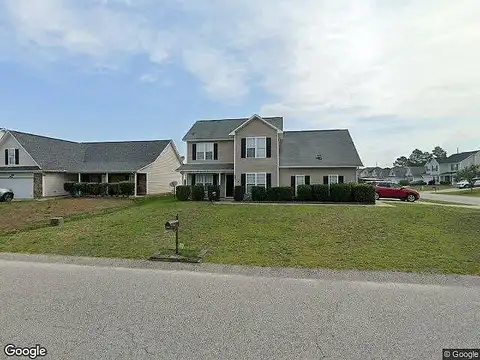 Chimney Swift, FAYETTEVILLE, NC 28306