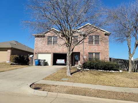 Rain Tree, WYLIE, TX 75098