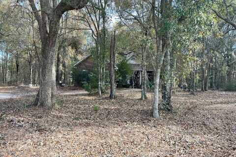 Silver Hill, HINESVILLE, GA 31313